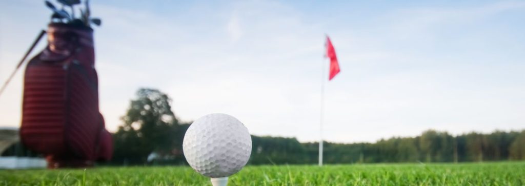 Ujęcie z poziomu ziemi