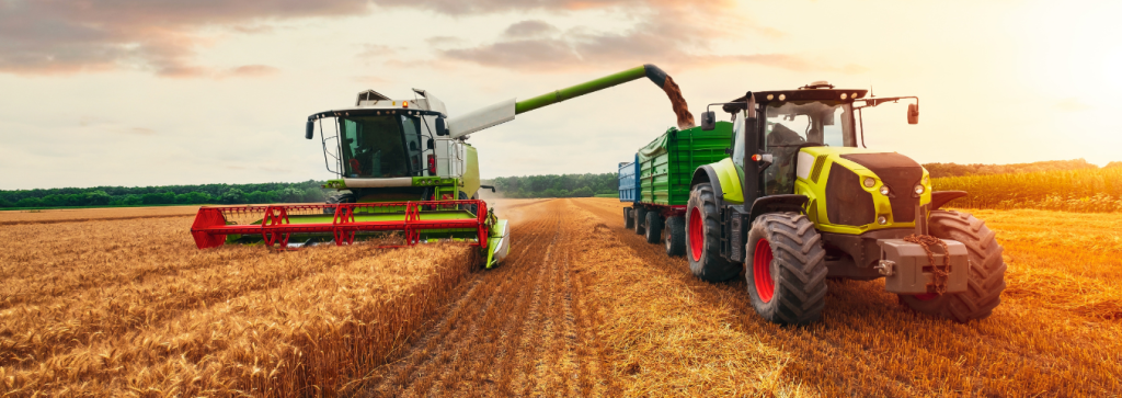 Kombajn pracujący w polu