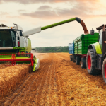 Kombajn pracujący w polu