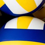 Kwalifikacje w&nbsp;piłce siatkowej: od&nbsp;trenera do&nbsp;menedżera